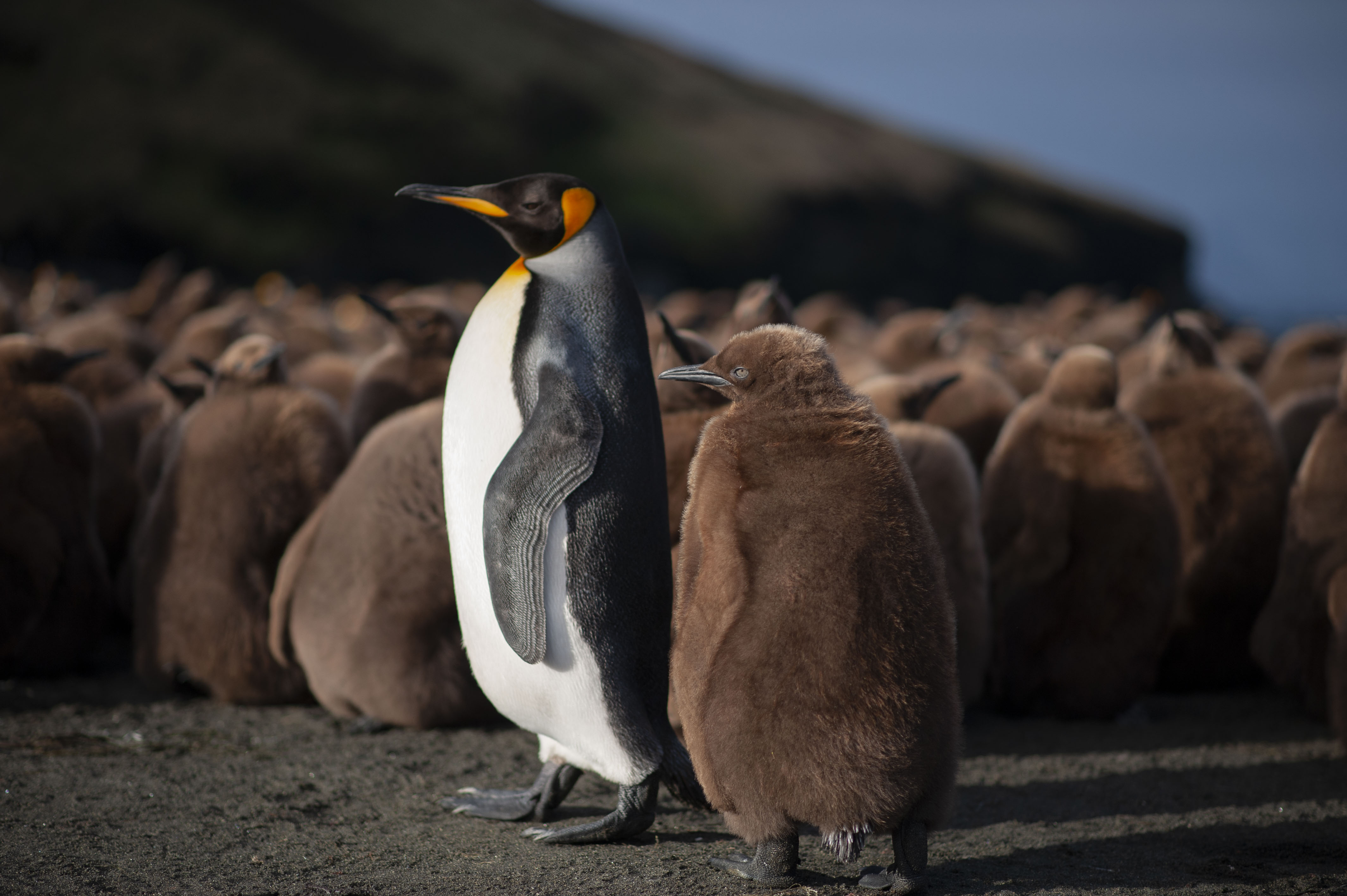 GYT 20220701 134831  DSC6273